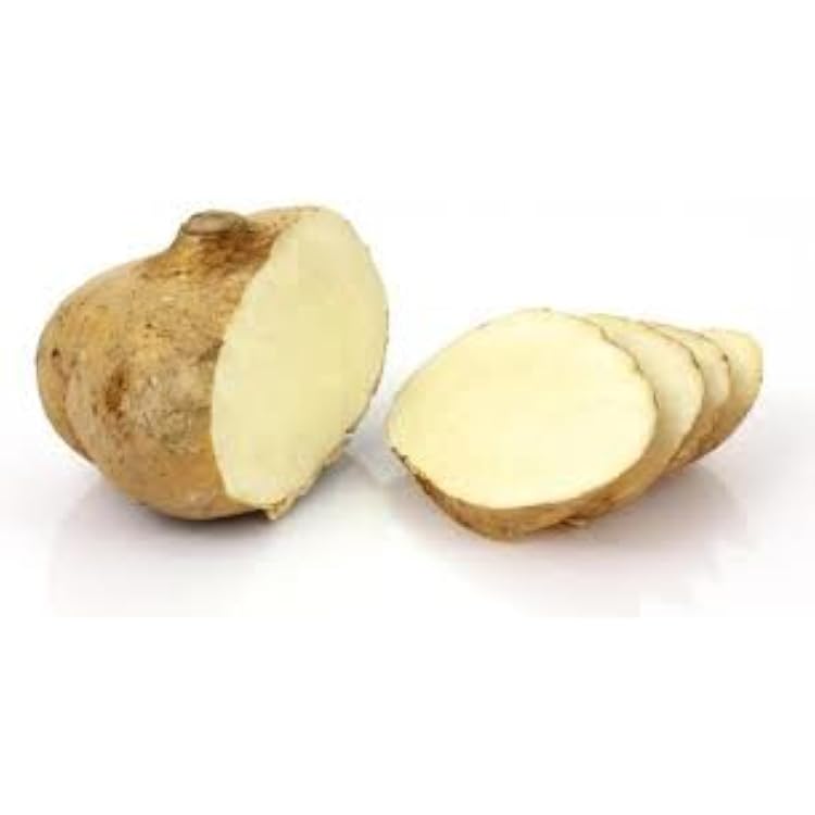 Fresh Jicama 5lb