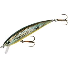 Rebel TD47-543 Tracdown Ghost Fishing Bait, Blue BackOrange Belly, 2 12 in, 18 oz