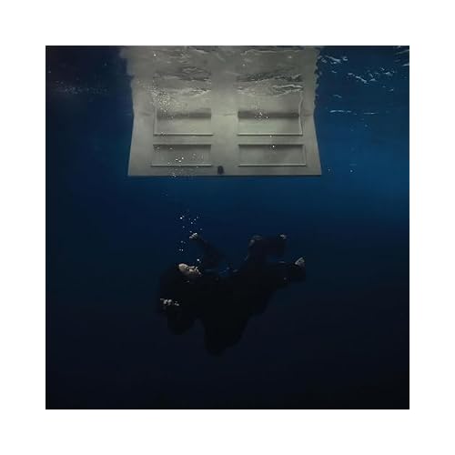 HIT ME HARD AND SOFT [Recycled Black LP]