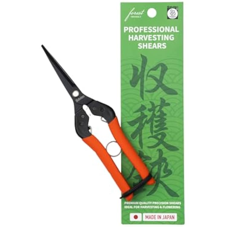 Saboten 7.9 Professional Japanese Harvesting Shears, Straight Precision Blade, Black Fluorine-Coated Stainless Steel, Spring-Loaded, Shock-Absorbing Grip, Safety Lock, Made in Japan