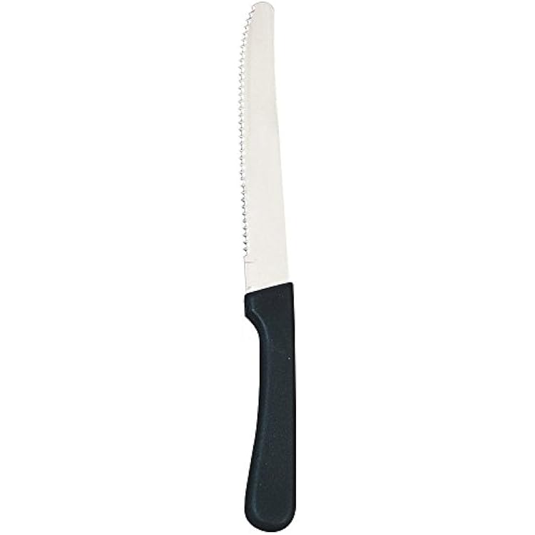 Round Tip Steak Knife with Plastic Handle, 5 Inch Blade -- 12 per Case