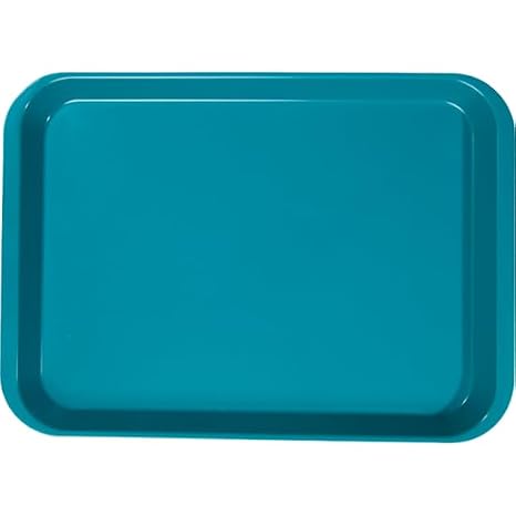 Zirc Dental 20Z401J B-Lok Flat Tray Size B Ritter Teal Plastic