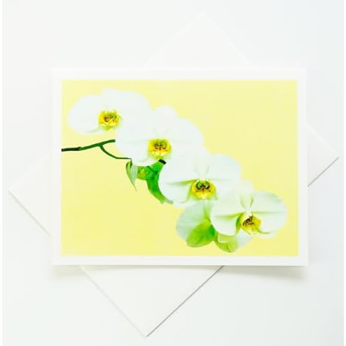 Orchid Photographic Heavy Linen Note Cards 8 w10 Matching Envelopes, Boxed Set 4.25x 5.50 Blank Inside - Made in USA