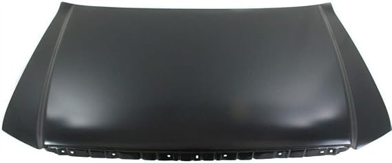 For Ford F-150 2004 05 06 07 2008 Hood Panel Assembly | Steel | FO1230276 | 4L3Z16612AA-PFM