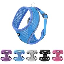 AIITLE Breathable Dog Harness for Small Dogs, Comfortable Adjustable Mesh Vest with Quick-Release Buckle, Reflective Safety Strips Perfect for Poodles, Teddy Dogs (M, Blue)