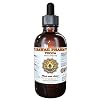Yucca (Yucca glauca) Liquid Extract 2 fl.oz