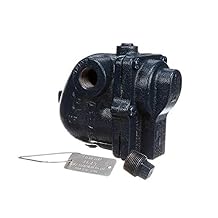Jackson (JACND) Steam Trap 3/4 Float and Thermosta