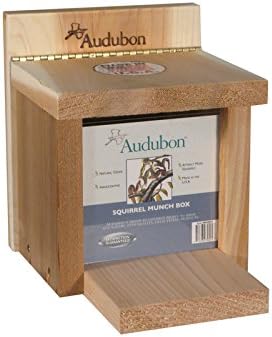 Audubon Squirrel Feeder Cedar