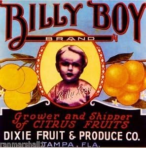 Magnet Tampa Florida Billy Boy Orange Citrus Fruit Crate Magnet Vintage Art Print