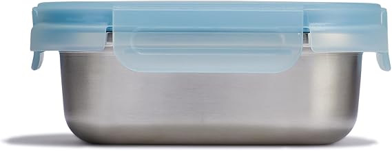 Hydro Flask Food Container Hot Lunch Stainless Steel Snack Container with Lid 2 Cup Capacity in Rain