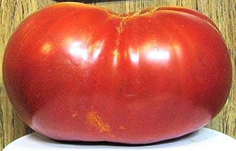 Tomato Big Zac Seeds- Six Pounders