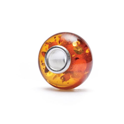 Authentic Amber 8103 Tortoiseshell