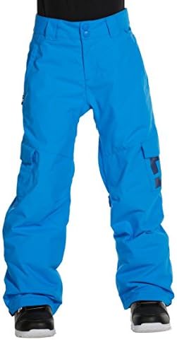 DC Apparel Big Boys Banshee K 15 Snow Pant