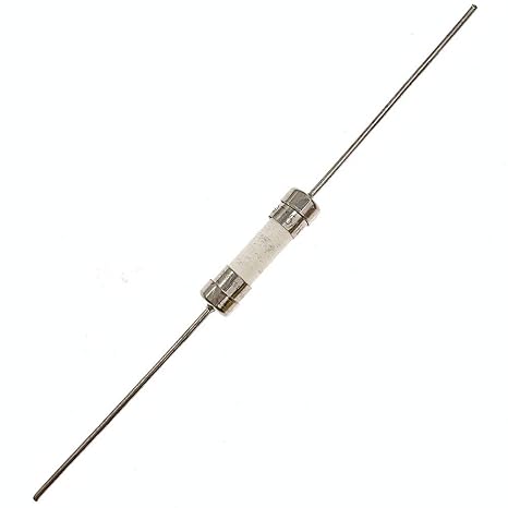 10pcs Ceramic Axial Lead Fuse T10AH250V 5x20mm/0.2"x0.79" Time-Lag Slow-Blow 10AMP 250V Time Delay Fuses (T10A)