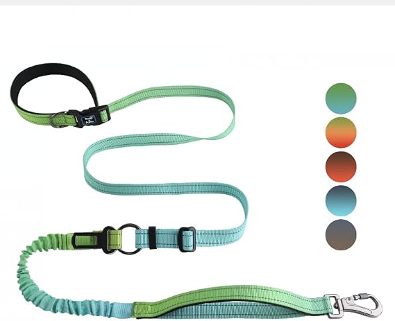 Roses&Poetry Heavy Duty Dog Leash,No Pull Bungee Dog Running Waist Leash for Walking Training with Car Seatbelt 4-6F