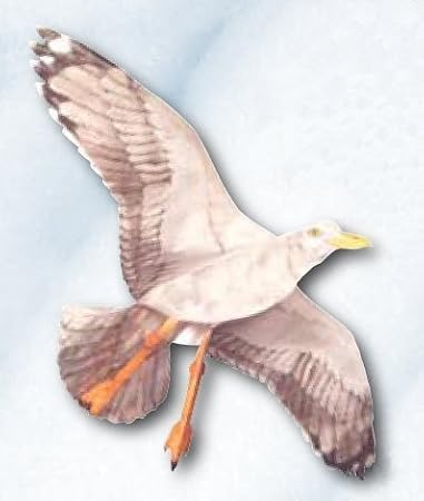 Sea Gull Kite, 42.5" Wingspan