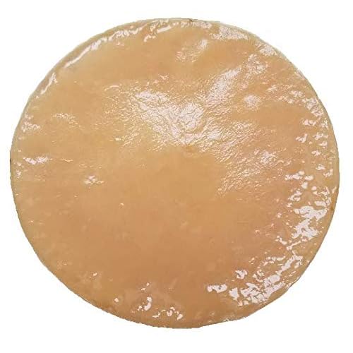 Extra Large Kombucha SCOBY With 12 Ounces - 1.5 Cups of Starter Tea Live Culture Basic Starter Kit Makes 1 Gallon