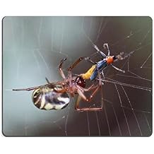 Mouse pad leaves curl curl eating three color soldier beetle natural rubber material