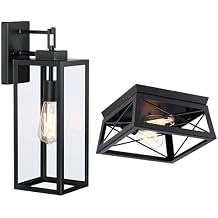 1 Pack 18in Garage Wall Light and 1 Pack 2-Light Black cage Ceiling Light
