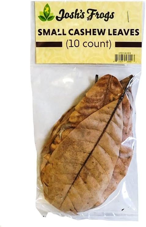 Josh's Frogs Small Cashew Leaf Litter (10 Count)