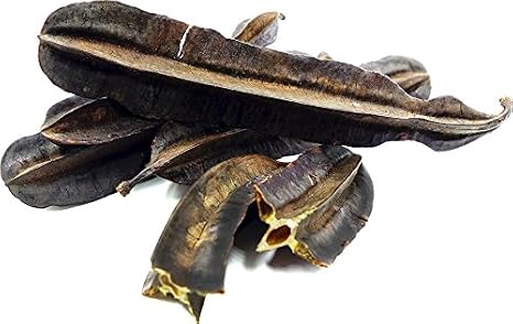 Fruit des 4 cote, TETRAPLEURA TETRAPTERA, Prekese