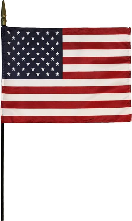 USA (United States) 8 inch x 12 inch World Flag Mounted on 20 inch Black Wooden Stick