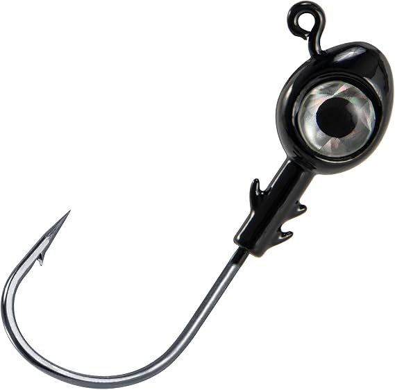 Dr.Fish 10 Pack Fishing Eyes Jigs 3D Eyes Trout Heads Bass Hook Saltwater Swimbait Jig Heads Freshwater Walleye Redfish Striper
