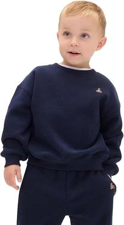 GAP Baby Boys' Icon Pullover Hoodie