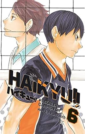Haikyu! 6.Skin (Cover May Change)