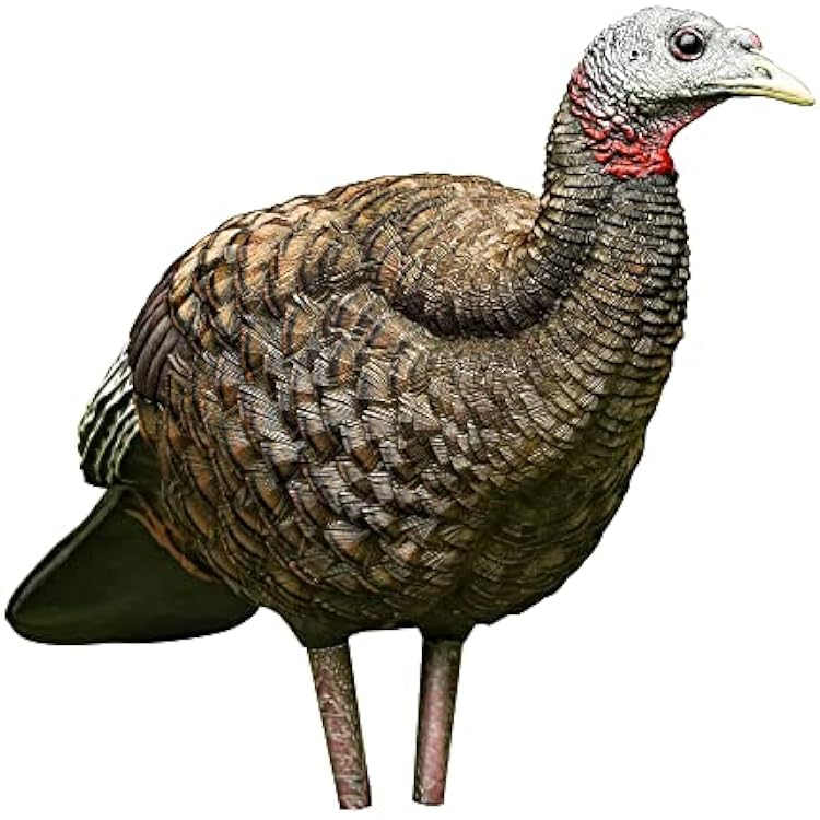 Avian X LCD Breeder Hen Turkey Decoy