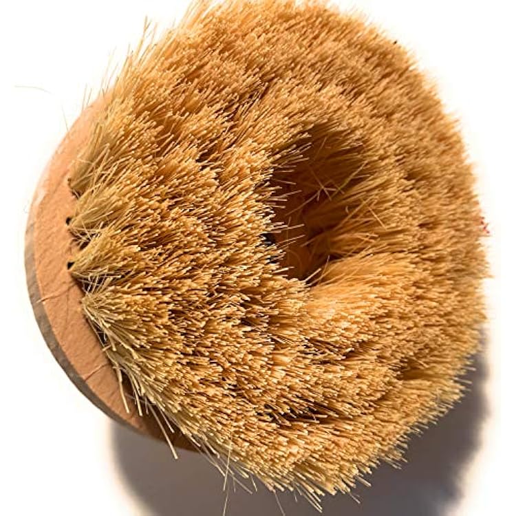 Fiddes Round Pine Brush