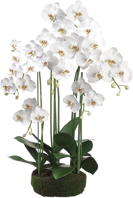 39"" Phalaenopsis Orchid Silk Flower Arrangement w/Soil & Moss Base -White