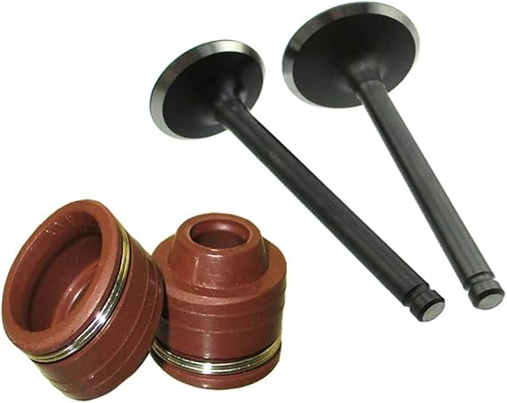DJ-Motor Intake Exhaust Valves Stem Seals For Lifan YX 125cc 140cc Engine WPB Orion M2R Lucky MX Thumpstar Explorer Braaap Atomic Pitpro Pitster Pro DHZ SSR Piranha Pit Dirt Bike