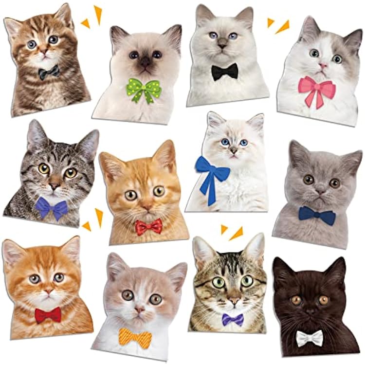 Ecally 12 Pcs Cat Magnets for Refrigerators Cruise Door Decorations Magnetic Cat Funny Magnets for Ship Door Locker Reusable Magnetic Sticker Home Kitchen Office Car