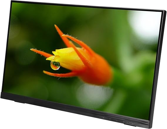 Planar 22-Inch Wide Black Projected Capacitive Multi-Touch IPS Edge-Lit Led LCD, USB Co