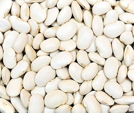 Bean Dry Great Northern Great Heirloom Garden Vegetable Seeds by Seed Kingdom (1 Lb Seeds)