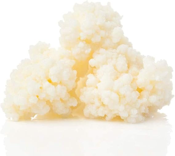 Kefir Grains from Raw Milk 1/4 Cup = 4Tbsp