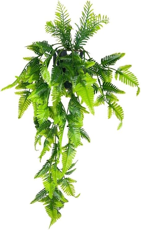 Yapay Çiçek Sarkan Boston Fern Yapraklı Bitki Küçük Siyah Saksıda Yapay Sarmaşık 55cm