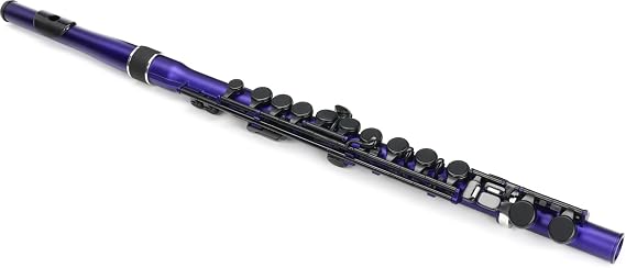 Nuvo N235SFBB Student Flute, Metallic Blue, 7.5 cm*50.0 cm*7.5 cm