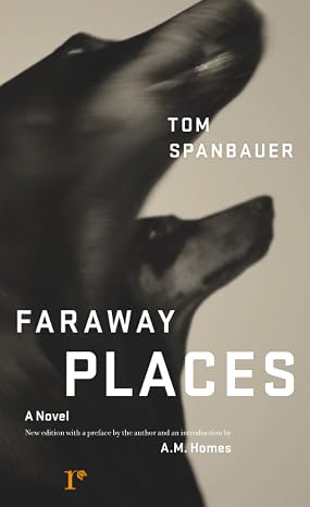 Faraway Places: A Novel (Hawthorne Rediscovery)