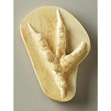 Owl Track Replica