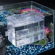 Pawfly Aquarium Breeding Box Fish Tank Hatchery Incubator Acrylic Breeder Box for Baby Fish Shrimp Betta Clownfish Small Isolation Box for Aggressive Fish Guppy