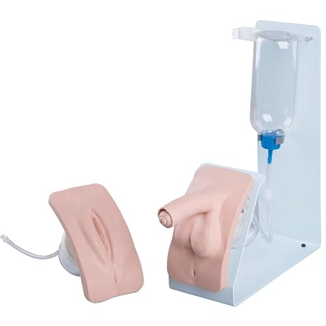 3B Scientific 1020842 Catheterization Simulator Female & Male Set Basic