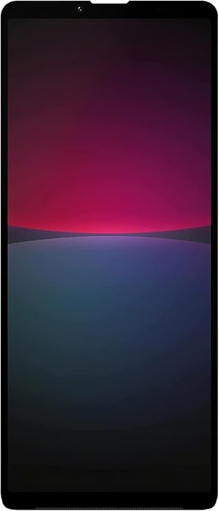 Front Panel Sony Xperia 10 III LCD OLED LCD Screen Display Screen Touch Panel Front Screen Windshield Replacement Part with Repair Tool
