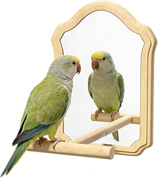 Mirror with Perch for Parrots, Wooden Standing Bird Mirror Toy Chewing Perch with Reflective Mirror for Cockatiel, Lovebird, Parakeet, Bird Cage Accessories (Large Mirror 21cm)
