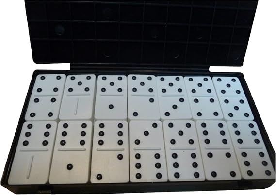 Tactile Sturdy Double-Six Dominoes Game for The Blind and Visually Impaired, Plastic (with Raised Dots) for Adults, Teens, and Children and Blind in Mind