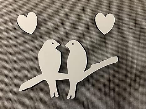 DCentral Lovebirds Flexible Vinyl Screen Magnets; Multipurpose, Double-Sided, for Non-Retractable Screens, White Easy to See, Helps to Stop Walking into Screens, Size W 7" x L 4"