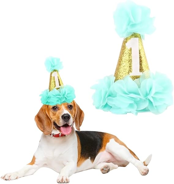 Stock Show 1st Pet Birthday Cone Hat Dogs Cats Holiday Party Hat Headwear Costume with Flowers Accessories and Adjustable Headband for Small Medium Dogs Cats Pets (Blue)