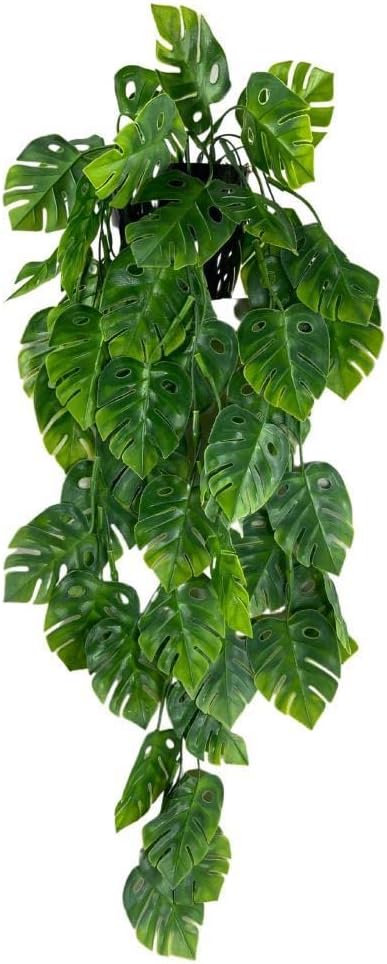 Yapay Çiçek Saksıda Sarkan Monstera Deve Tabanı Yapay Sarmaşık Pastel 60cm
