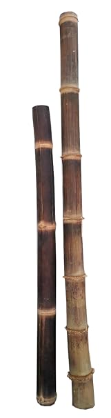 6" Giant Black Timber Bamboo Poles